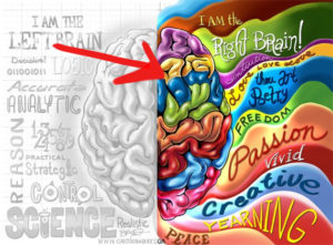 right-brain dominant